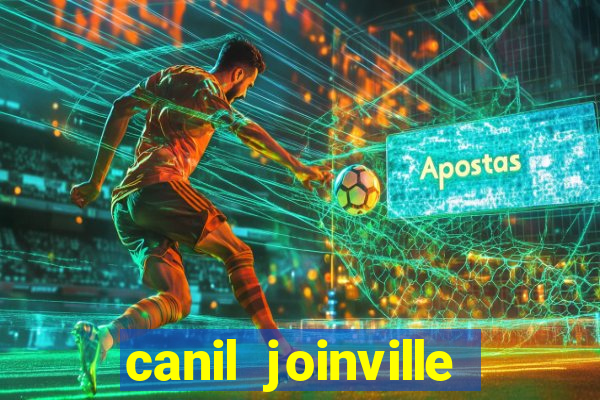 canil joinville vila nova